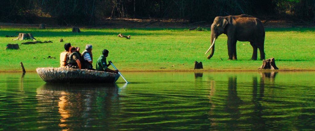 river, elephant, wayanad